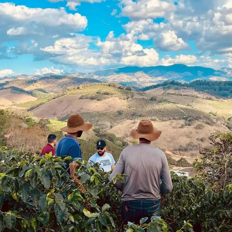 PNG طائر الجنة، أوقيانوسيا، بابوا غينيا الجديدة، حبوب قهوة مختصة أحادية المنشأ، محمصة تحميصًا متوسطًا ومناسبة للتحضير اليدوي