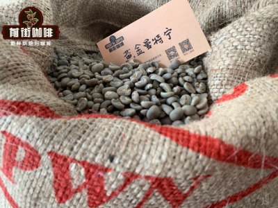 مقدمة عن القهوة المختصة الآسيوية | أين توجد مناطق إنتاج القهوة في إندونيسيا؟ مقدمة عن خصائص نكهة وملمس حبوب قهوة PWN مانديلينغ الذهبية ومستوى العلامة التجارية