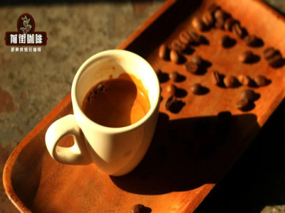تعريف قهوة SOE｜لماذا تكون حبوب قهوة SOE أغلى من حبوب الخلطات الإيطالية؟ ما الفرق بين حبوب SOE والحبوب الإيطالية؟ ما خصائص قهوة SOE؟