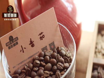 قصة نشأة القهوة بالتنقيط البارد｜لماذا تُسمّى قهوة التنقيط البارد Dutch coffee، أي القهوة الهولندية؟ كيف يُستخدم إبريق القهوة بالتنقيط البارد؟ ما نوع حبوب القهوة المناسب للتنقيط البارد؟
