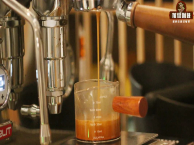 قهوة الإسبريسو Espresso | ما هي قهوة الإسبريسو؟ كيف يمكن للمبتدئين في القهوة تحضير الإسبريسو؟ ما هي الطرق الصحيحة لشرب الـ Espresso؟